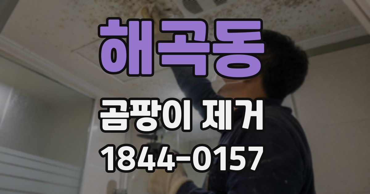해곡동 곰팡이 제거