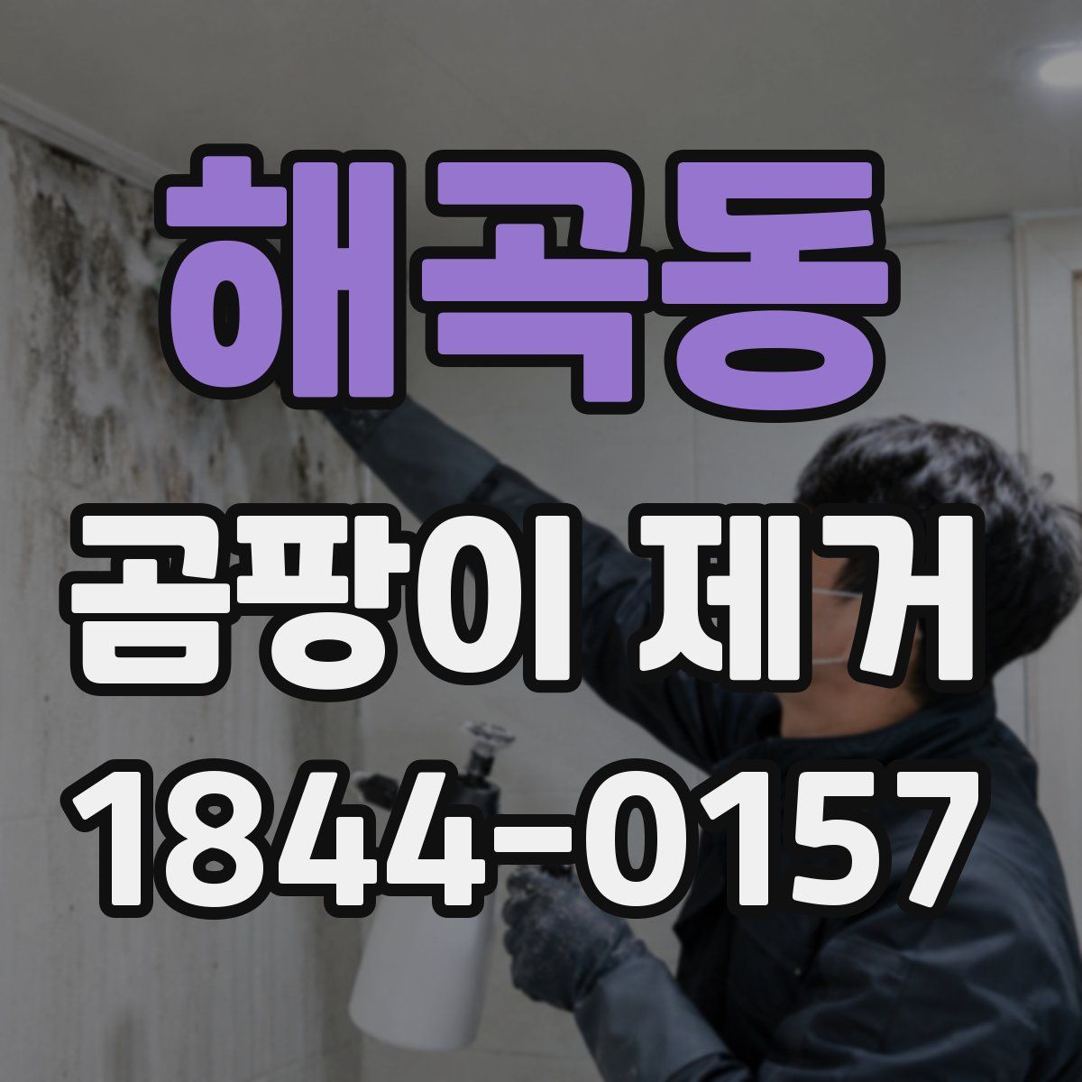 해곡동 곰팡이 제거