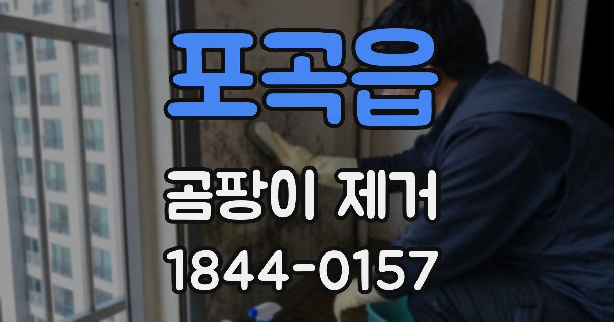 포곡읍 곰팡이 제거