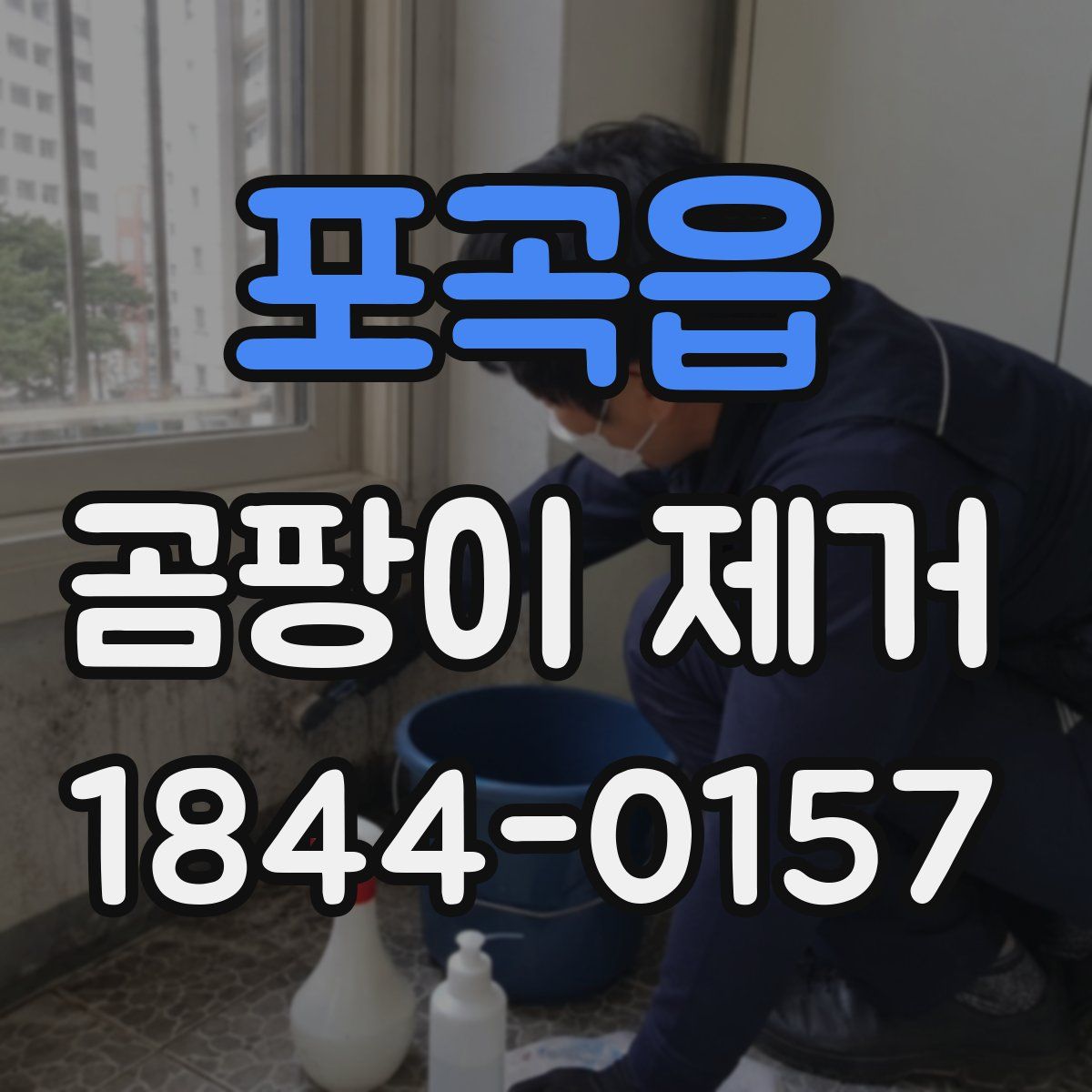포곡읍 곰팡이 제거
