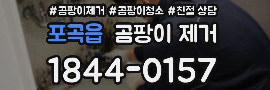 포곡읍 곰팡이 제거