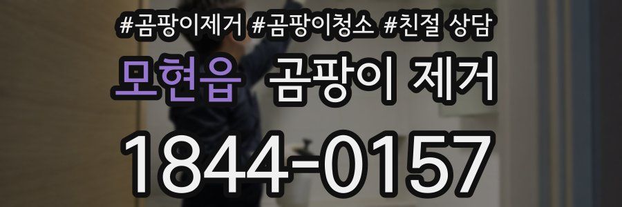 모현읍 곰팡이 제거