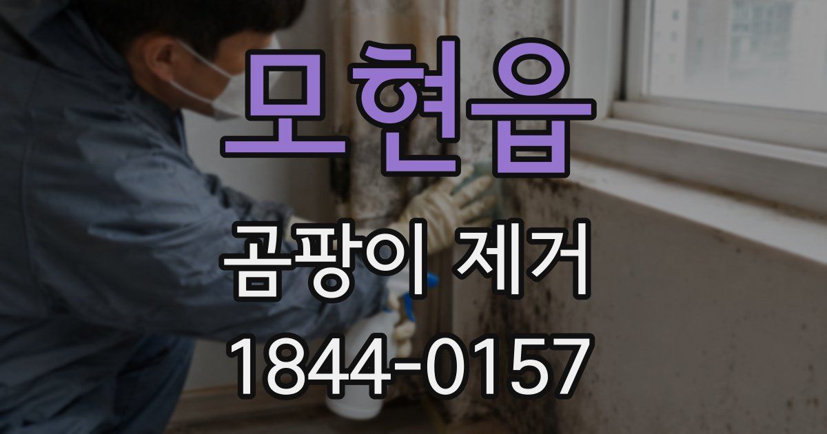 모현읍 곰팡이 제거