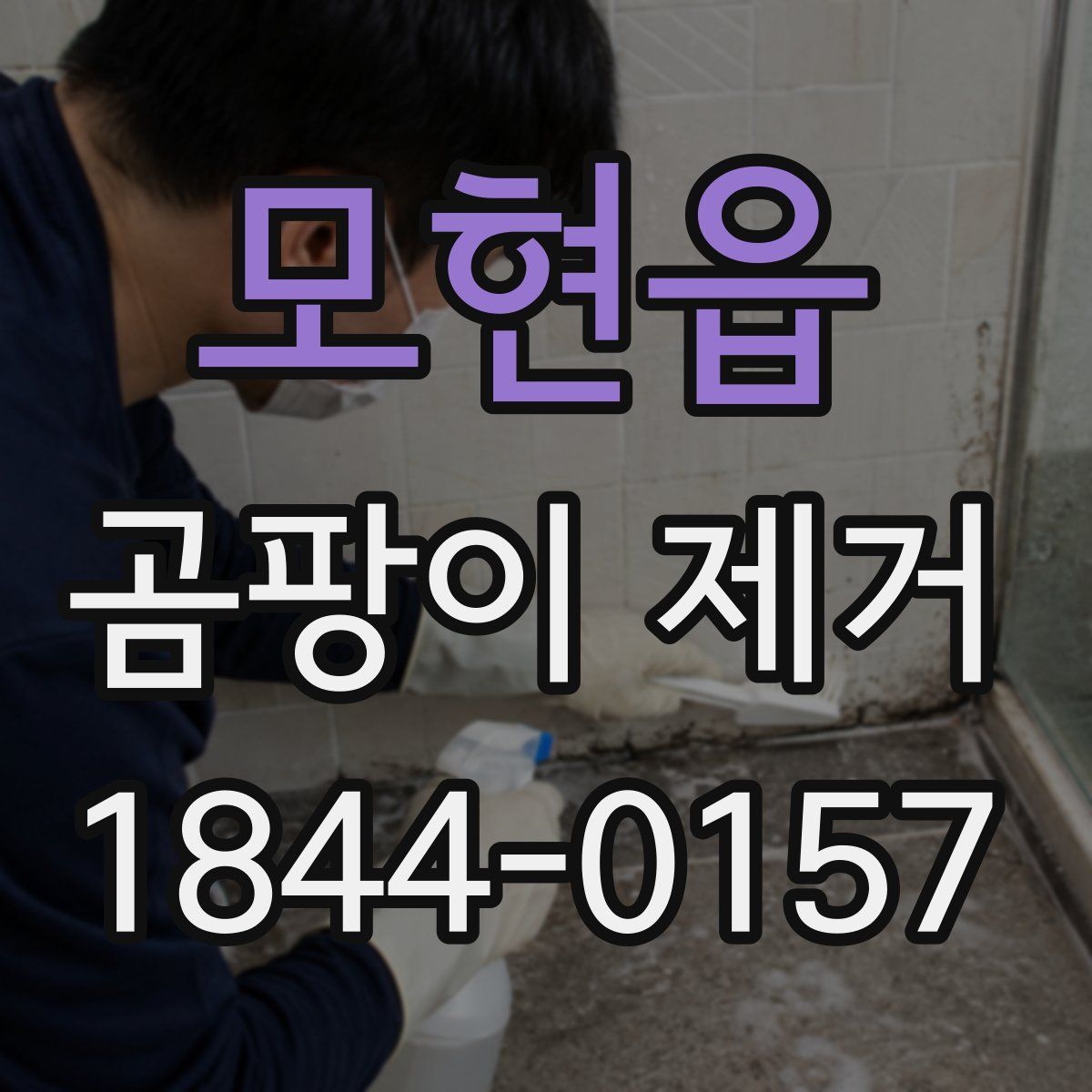 모현읍 곰팡이 제거