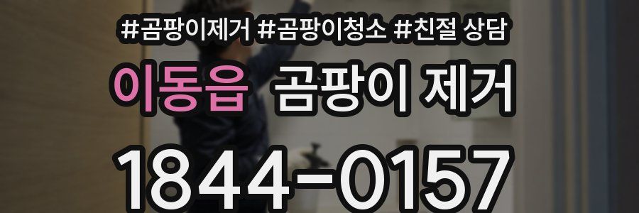 이동읍 곰팡이 제거