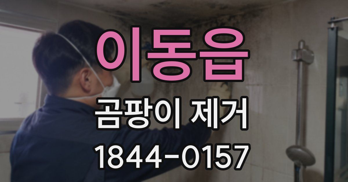 이동읍 곰팡이 제거