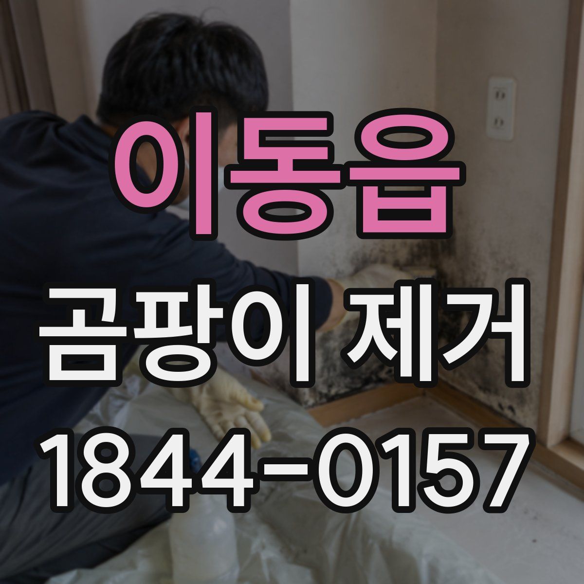 이동읍 곰팡이 제거