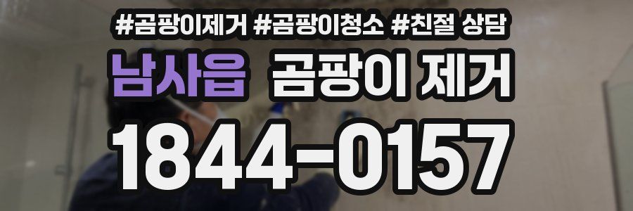남사읍 곰팡이 제거