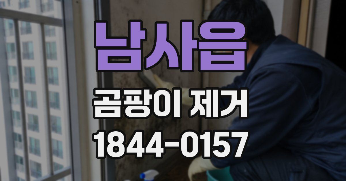 남사읍 곰팡이 제거