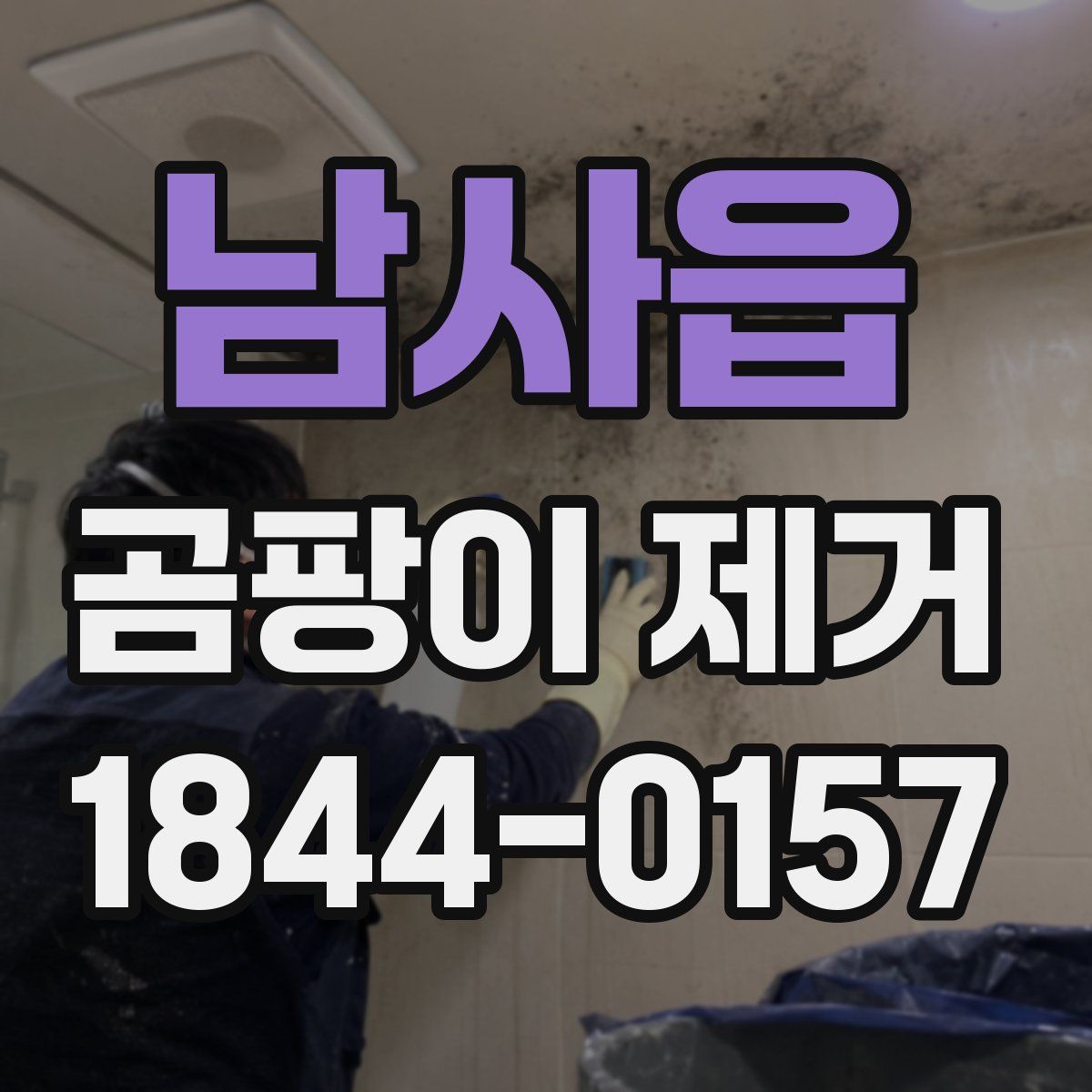 남사읍 곰팡이 제거