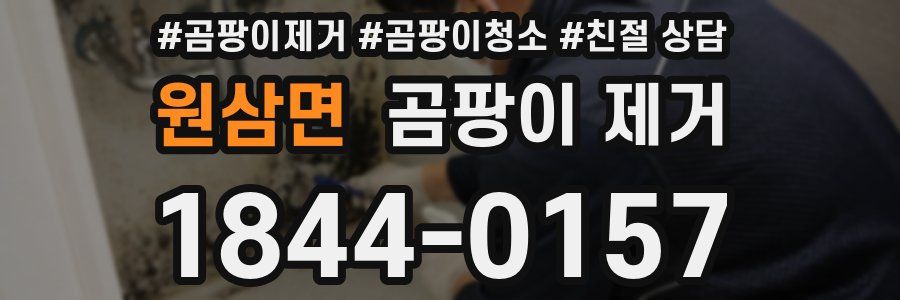 원삼면 곰팡이 제거