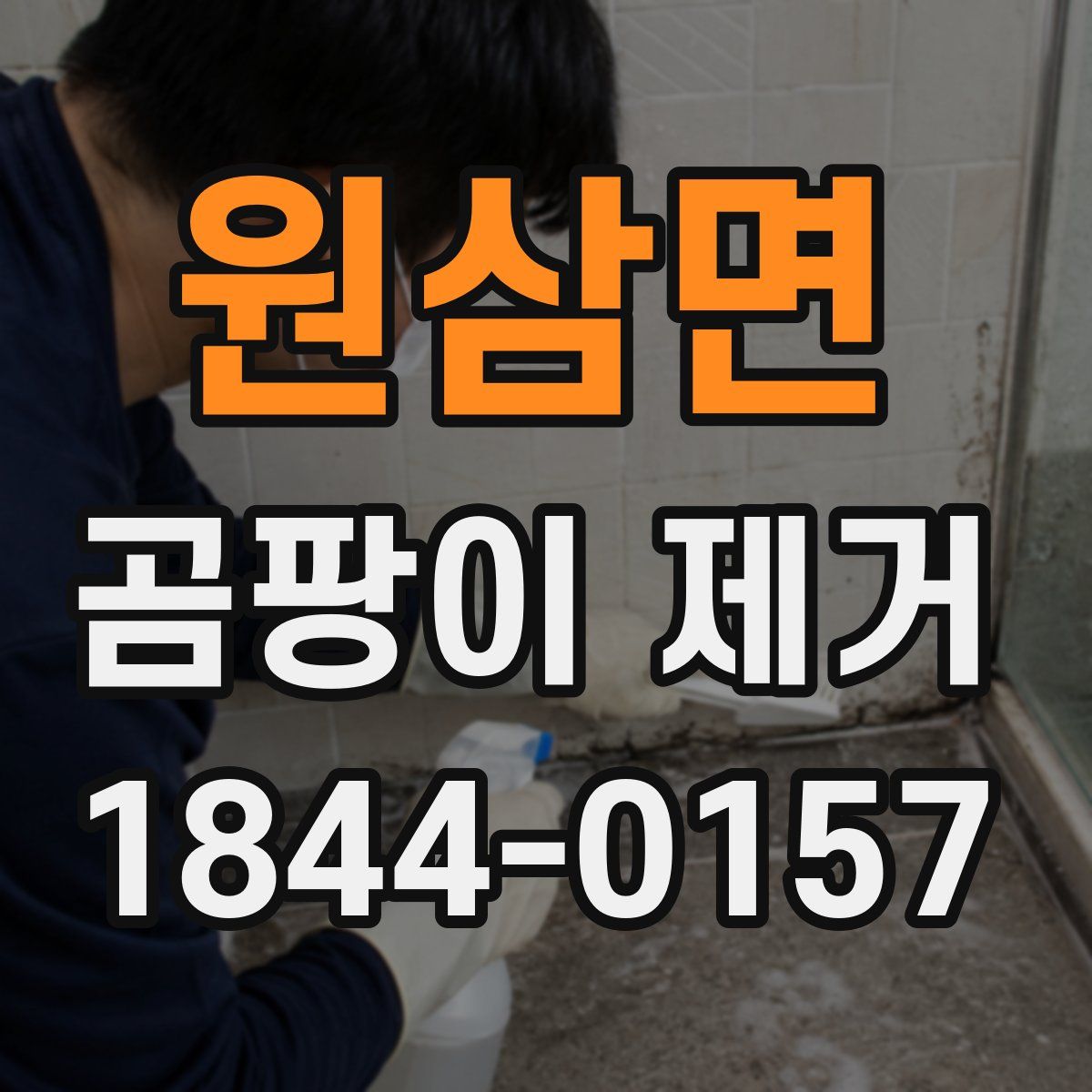 원삼면 곰팡이 제거