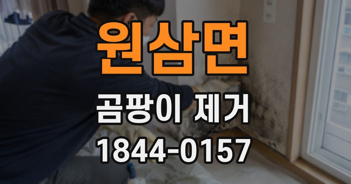원삼면 곰팡이 제거