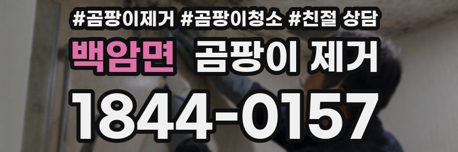 백암면 곰팡이 제거