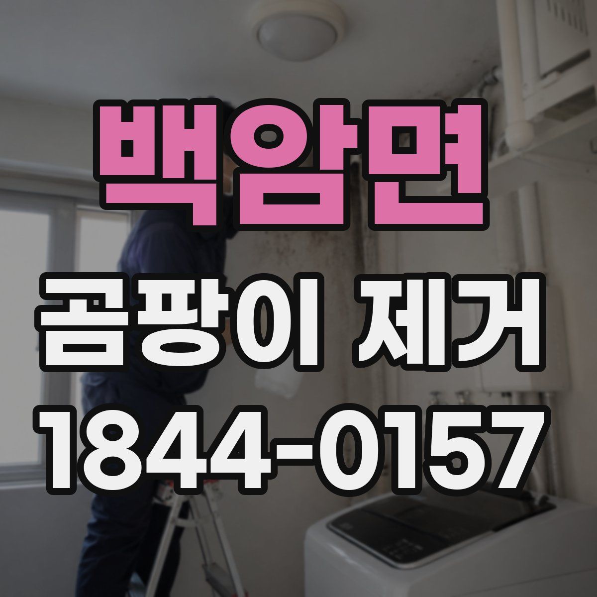 백암면 곰팡이 제거