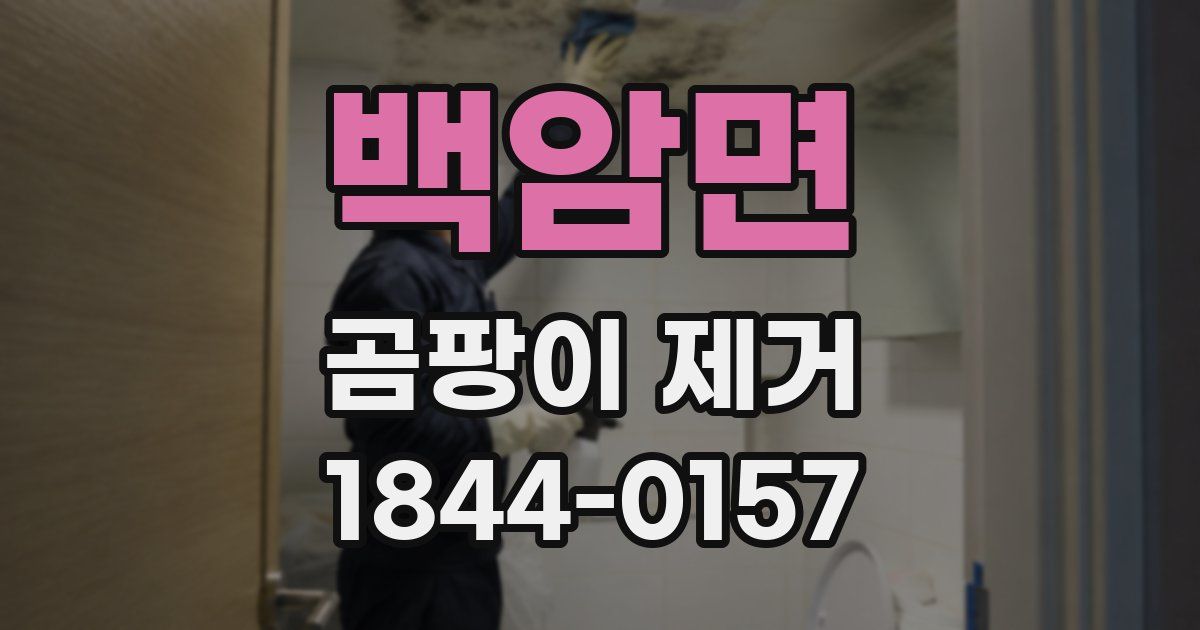 백암면 곰팡이 제거