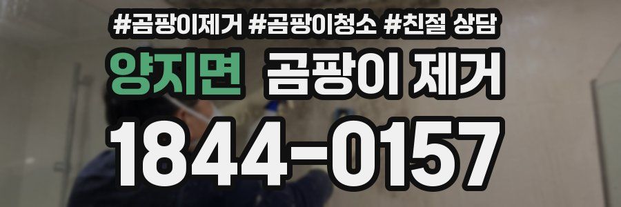 양지면 곰팡이 제거