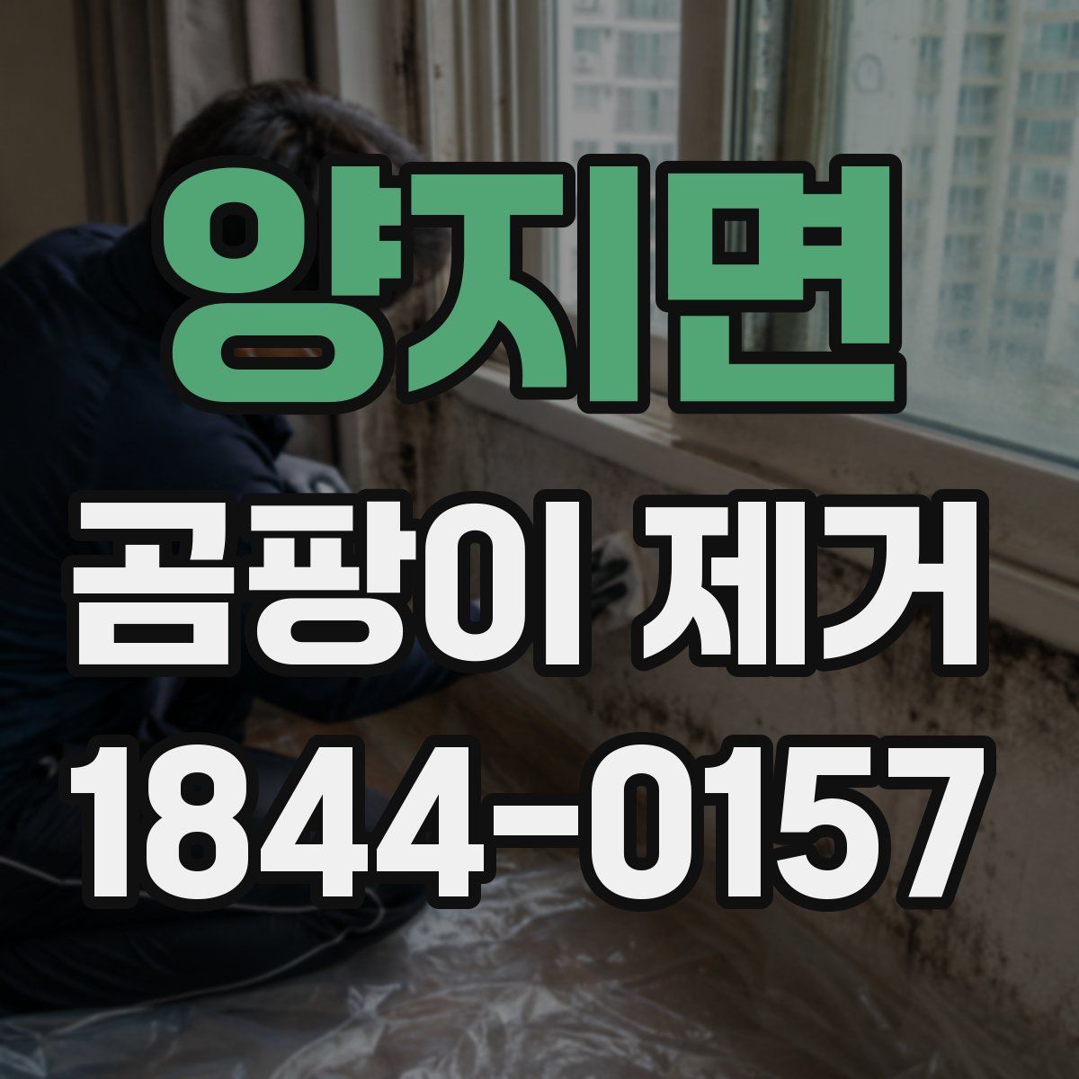 양지면 곰팡이 제거
