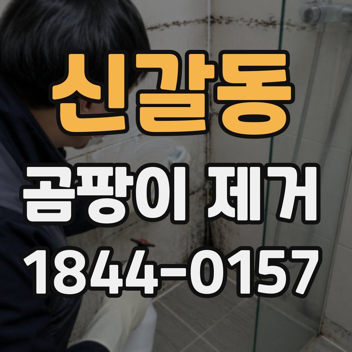 신갈동 곰팡이 제거