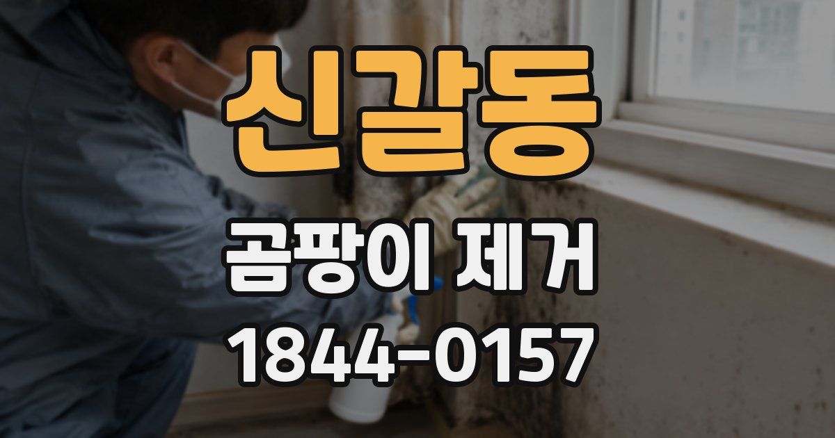 신갈동 곰팡이 제거