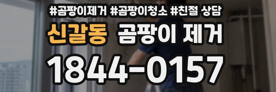 신갈동 곰팡이 제거