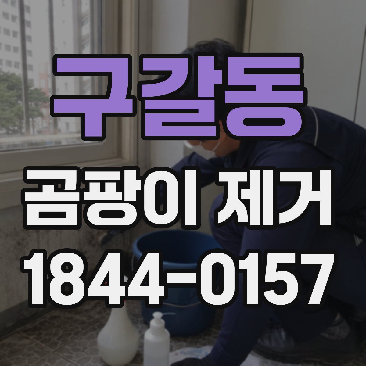 구갈동 곰팡이 제거