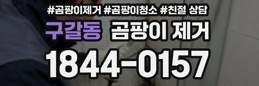 구갈동 곰팡이 제거