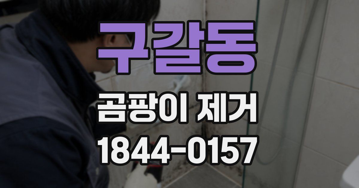 구갈동 곰팡이 제거