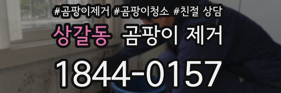 상갈동 곰팡이 제거