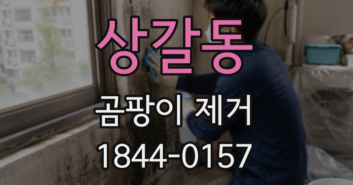 상갈동 곰팡이 제거