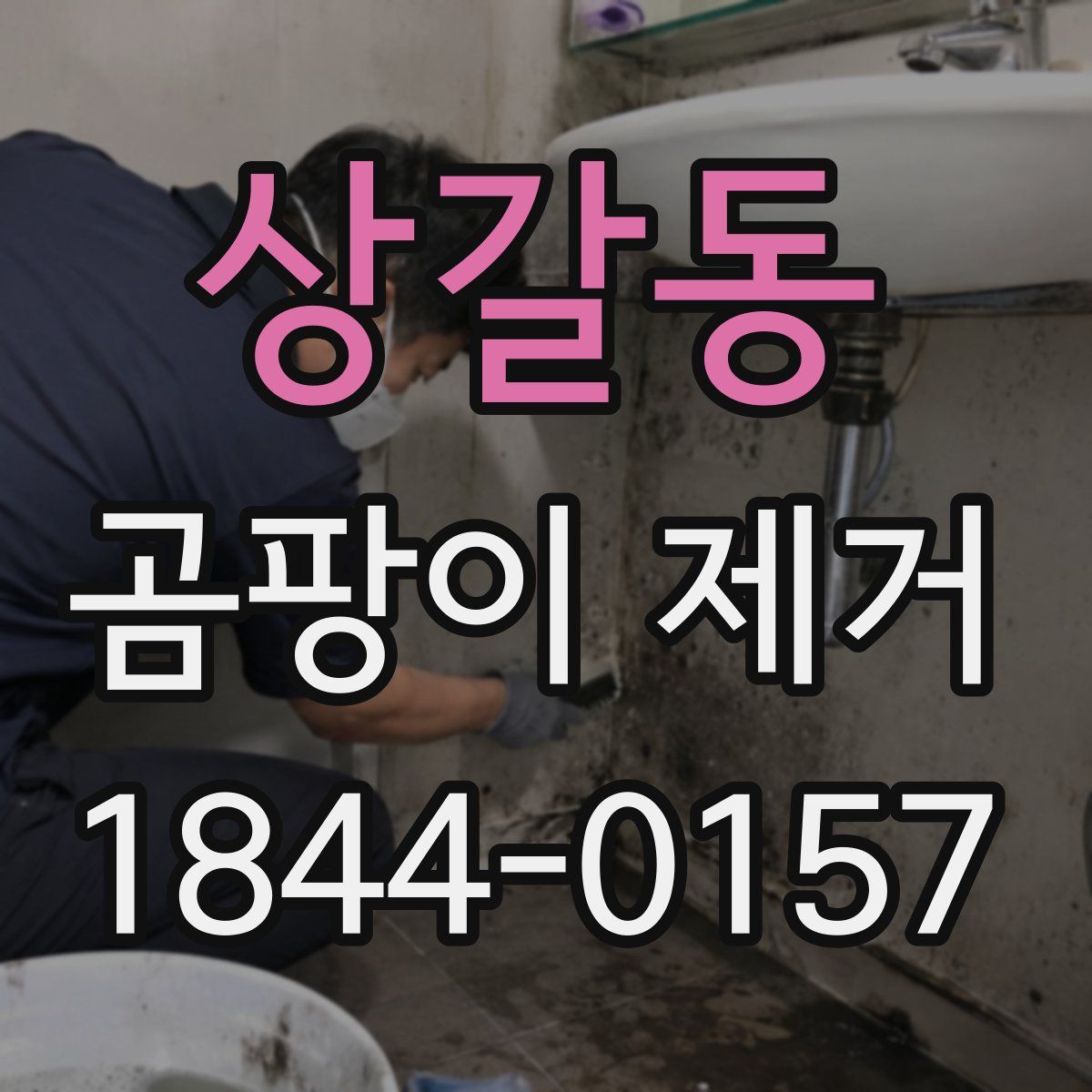 상갈동 곰팡이 제거