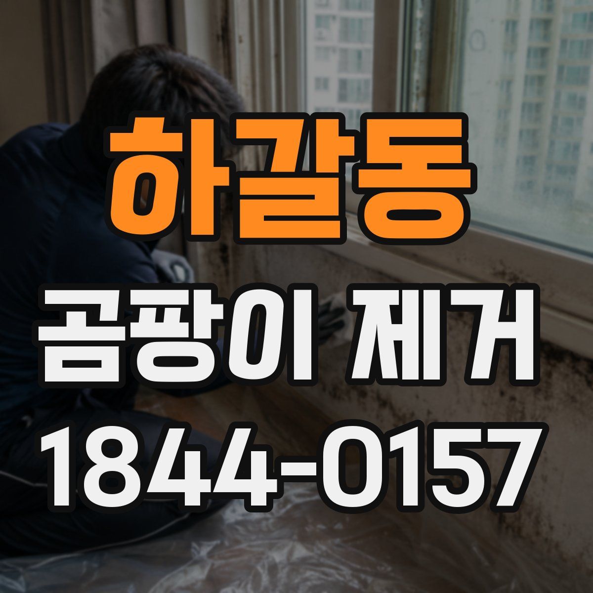 하갈동 곰팡이 제거
