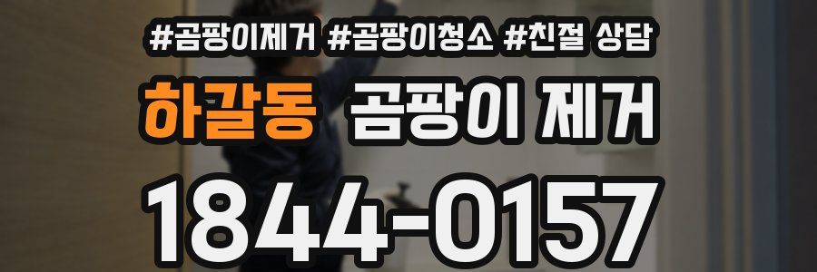 하갈동 곰팡이 제거