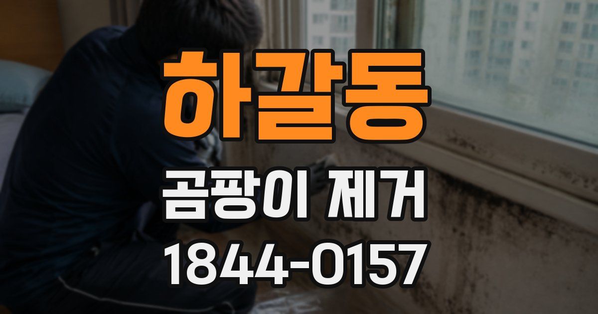 하갈동 곰팡이 제거