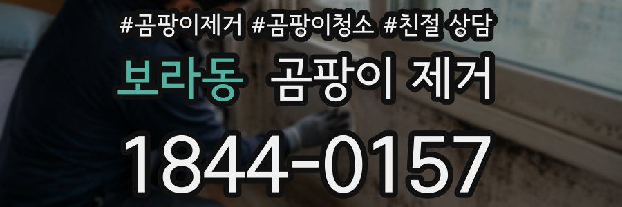 보라동 곰팡이 제거