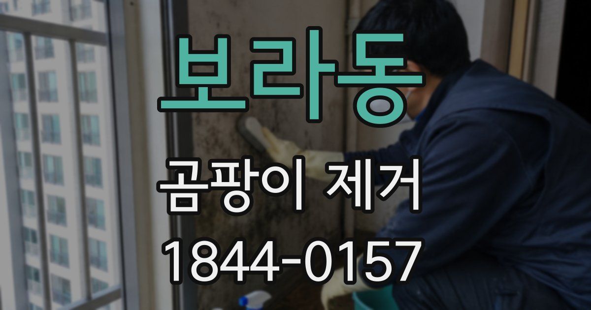 보라동 곰팡이 제거
