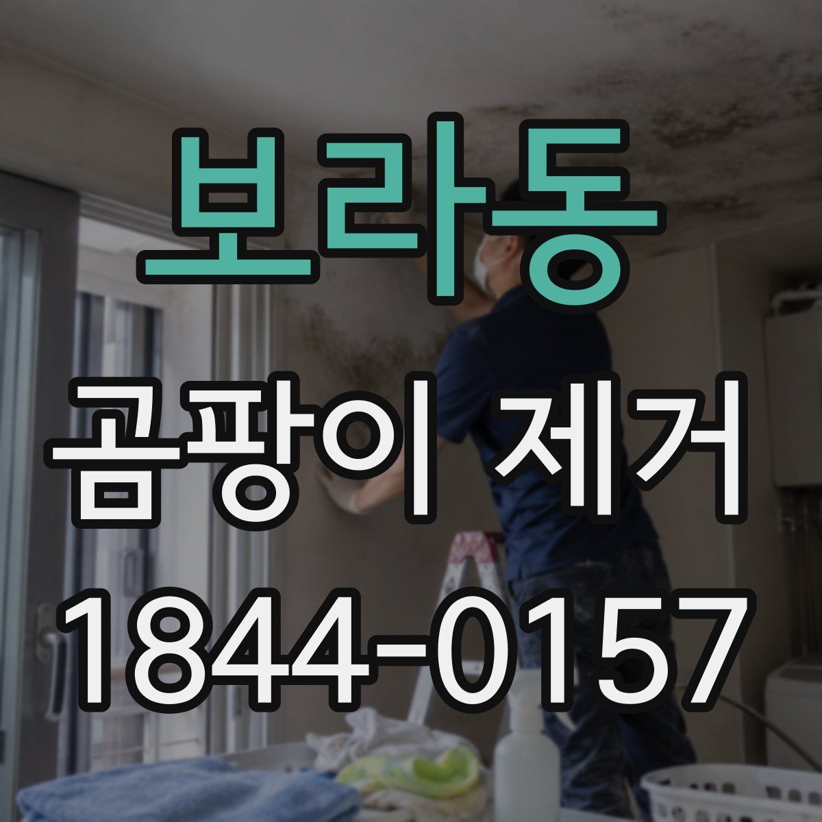 보라동 곰팡이 제거