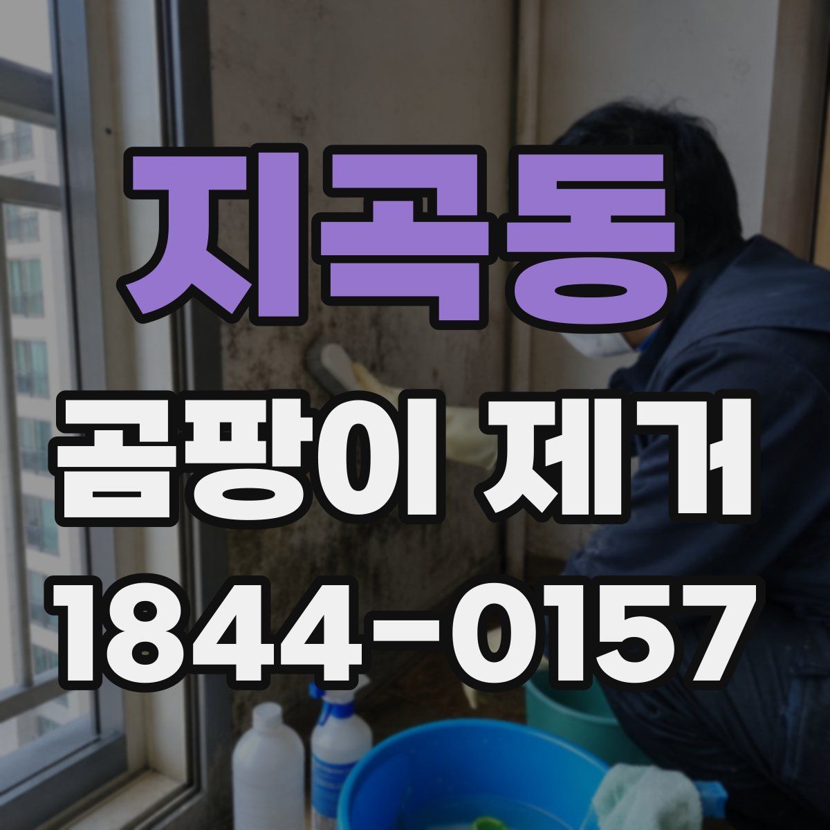 지곡동 곰팡이 제거