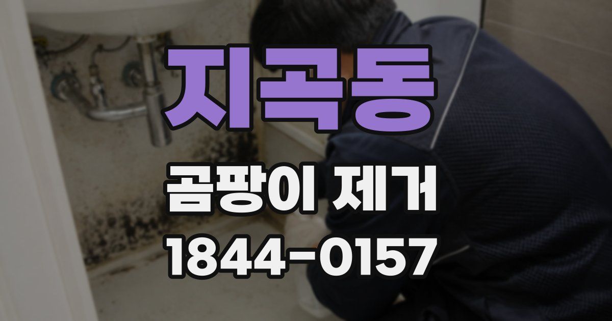 지곡동 곰팡이 제거