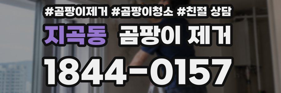 지곡동 곰팡이 제거