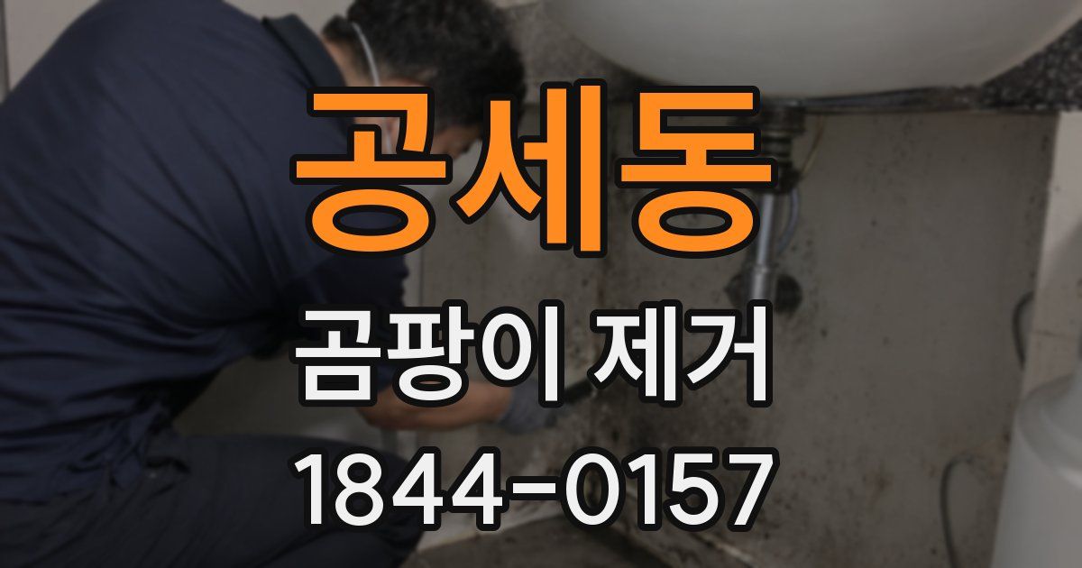 공세동 곰팡이 제거