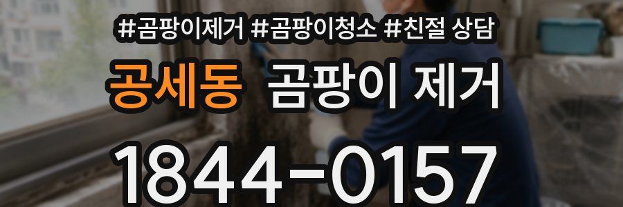 공세동 곰팡이 제거