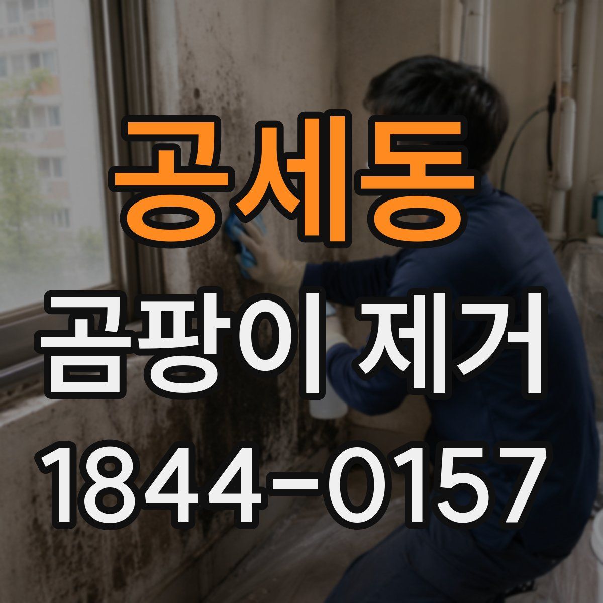 공세동 곰팡이 제거