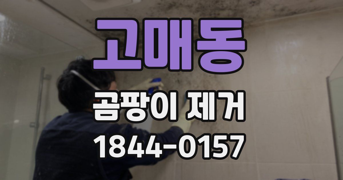 고매동 곰팡이 제거
