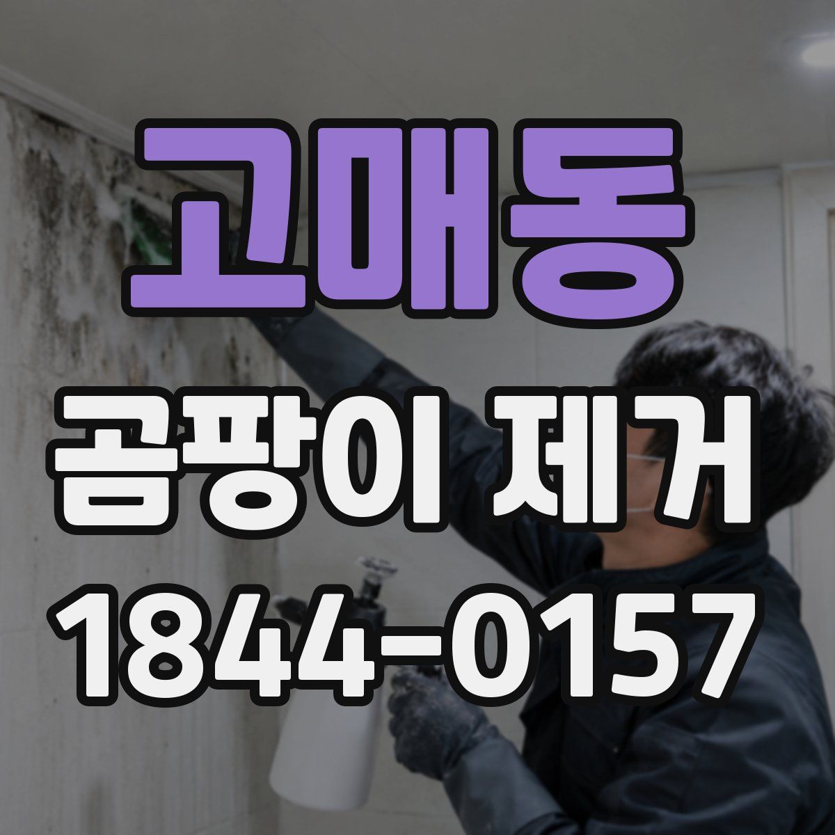 고매동 곰팡이 제거