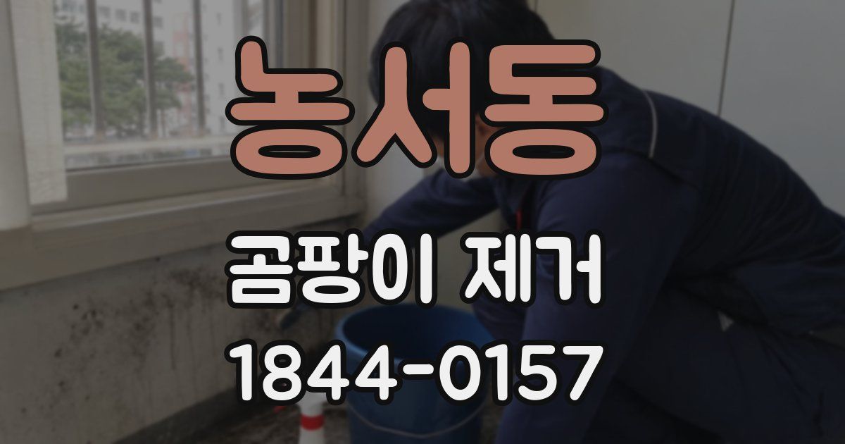 농서동 곰팡이 제거