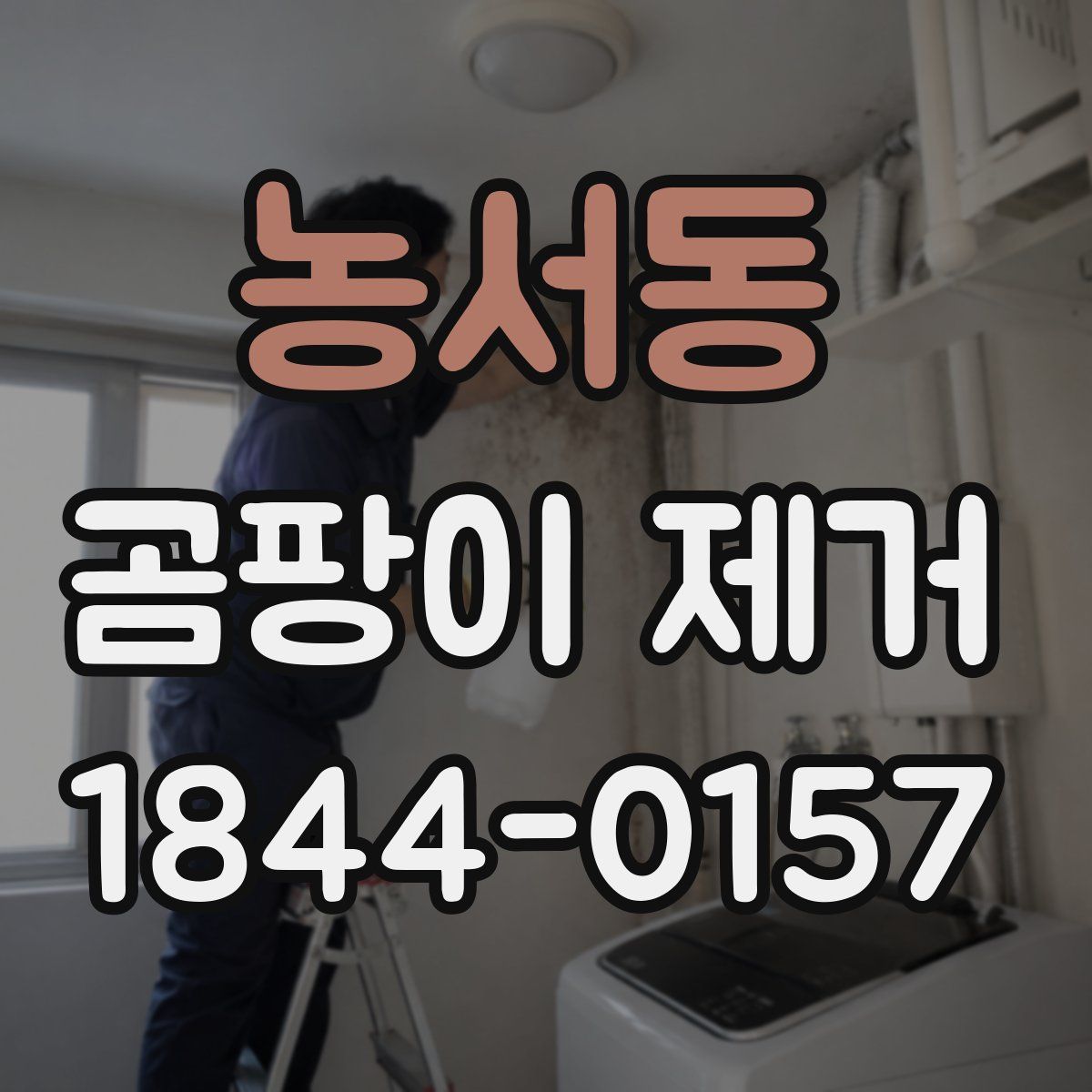 농서동 곰팡이 제거