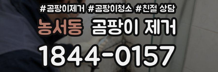 농서동 곰팡이 제거