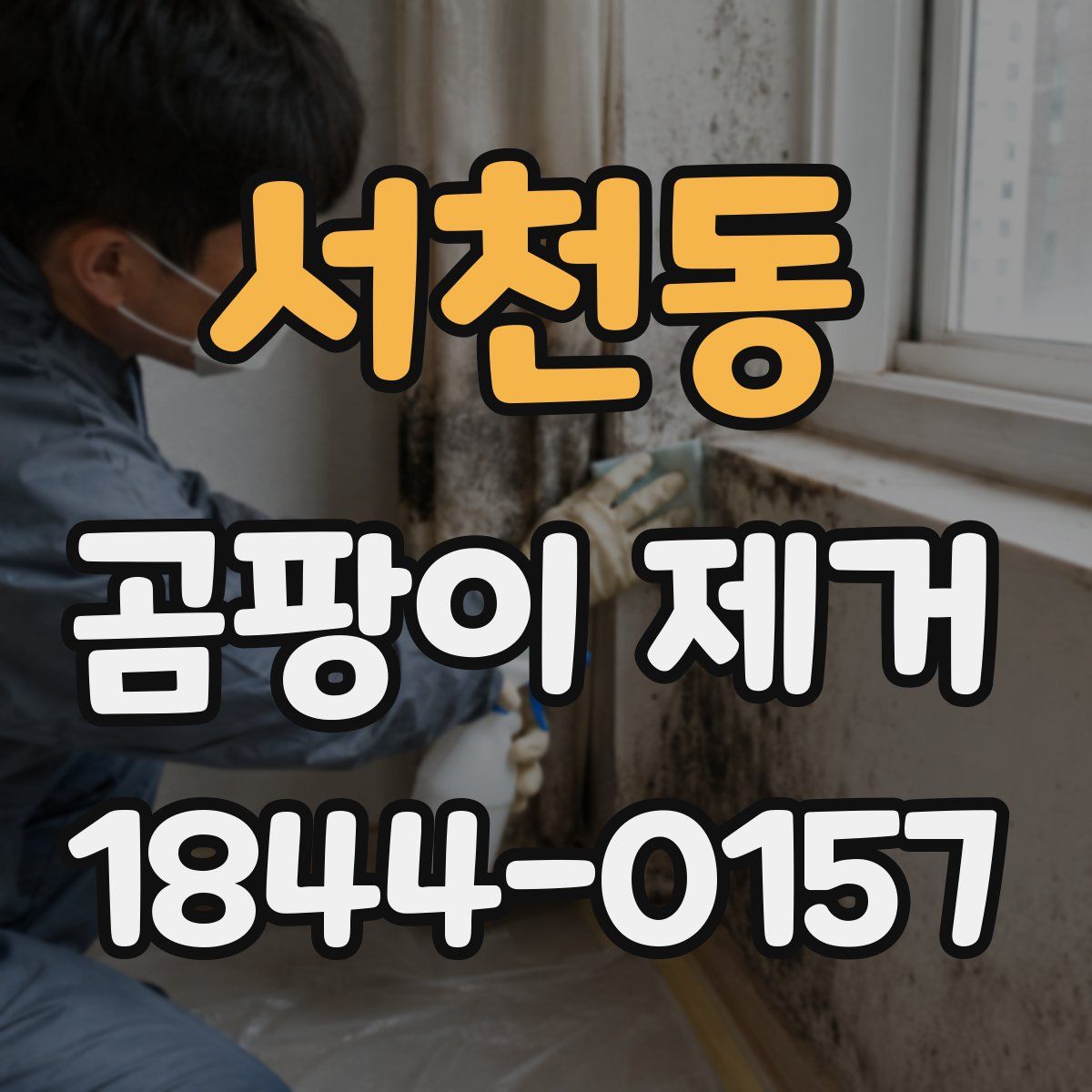 서천동 곰팡이 제거