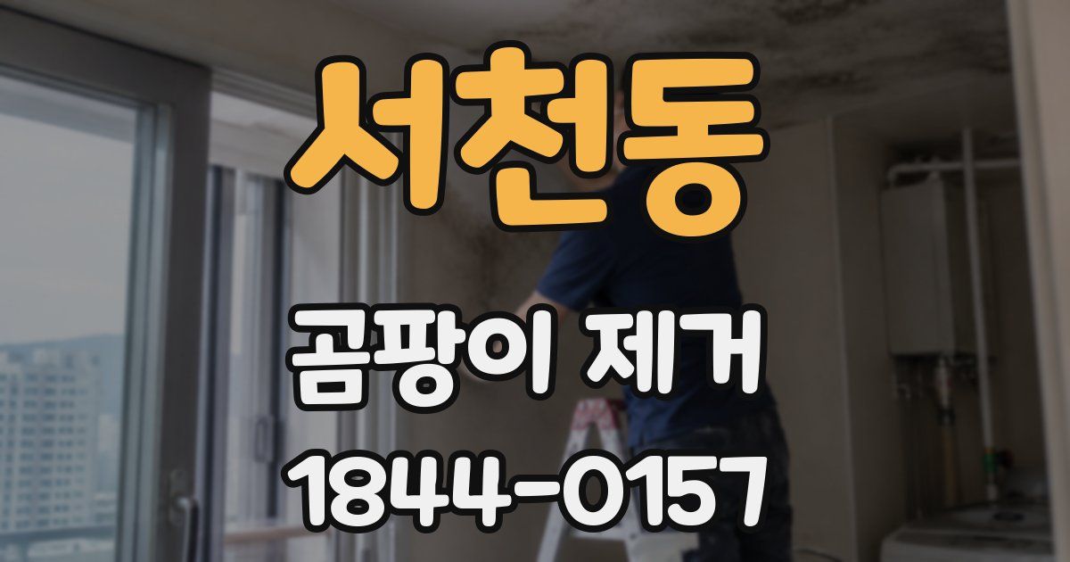 서천동 곰팡이 제거